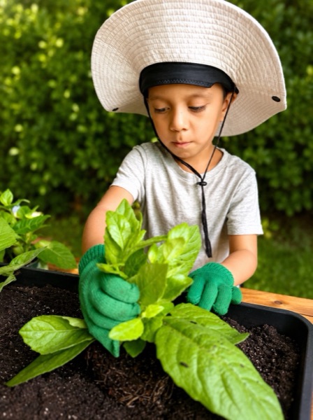 Gardening at Creativa Academy